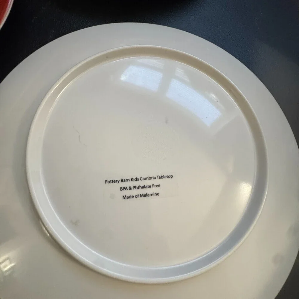 5 Pottery Barn Peanuts Plates bowls Charlie Brown Snoopy Woodstock Thanksgiving